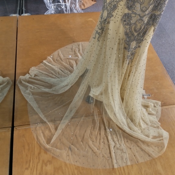 Formal or prom dress - Picture 6 of 8